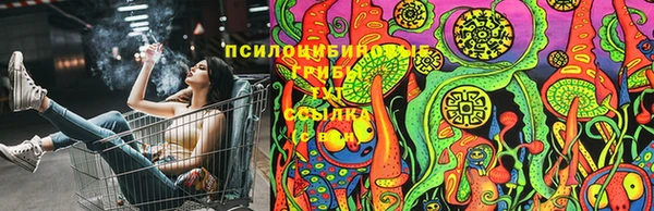 ECSTASY Алзамай