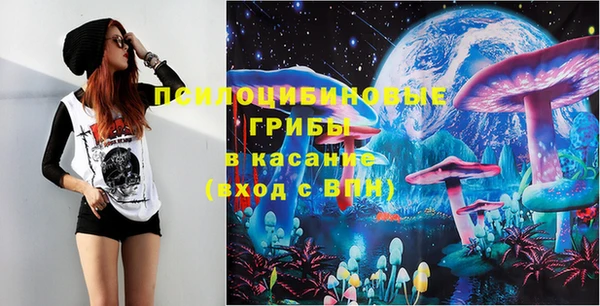 соль ск Алексеевка